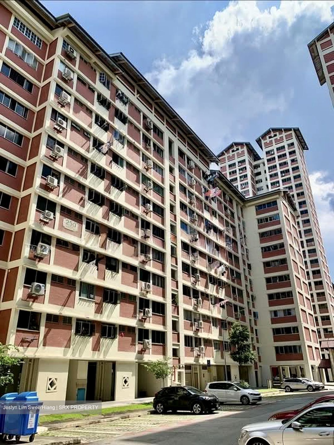 Blk 250 Bishan Street 22 (Bishan), HDB 4 Rooms #594701771
